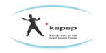 KAPAP - Reality Based Personal Protection Academy - Austria